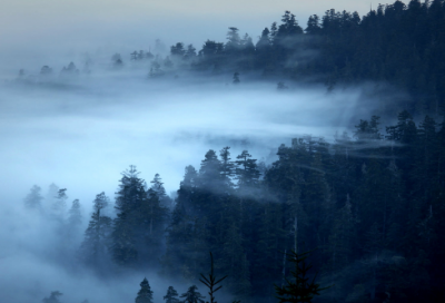 ​爱情感恩遇见的简短句子 【100句精选】