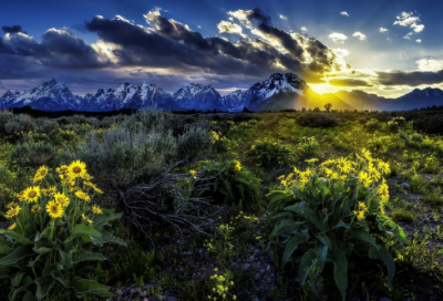 ​爱情事业双丰收祝福语短句 【100句精选】