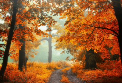 ​忠于一人的爱情短句 【100句精选】