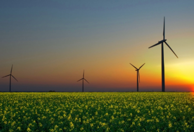 ​名人名言爱情短句 【100句精选】