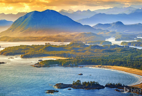 1691154875763354.png image.png