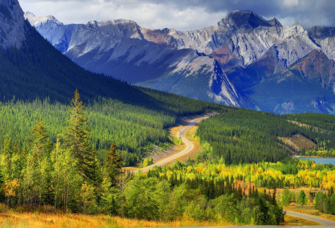 1691155041726077.png image.png