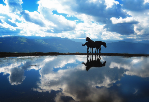 1691155206604747.png image.png