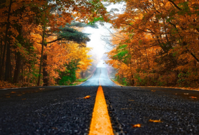 ​不珍惜爱情的经典语录 【关于不珍惜感情的句子】