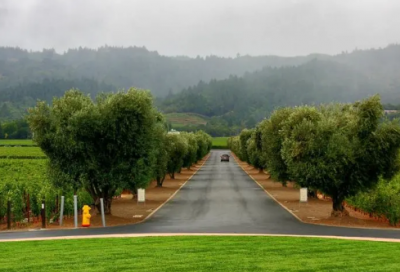 ​五字爱情短句 【100句精选】