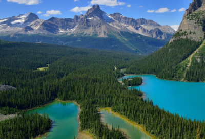 ​精美爱情短句 【100句精选】