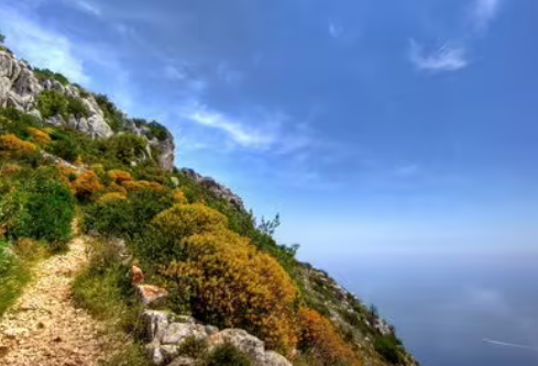 1691156867857653.png image.png