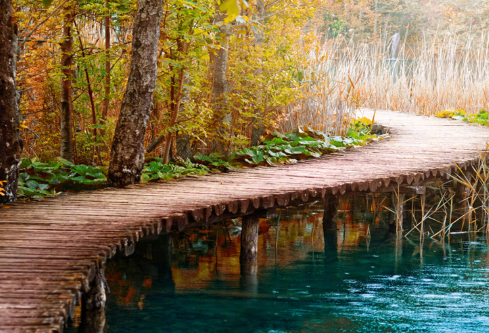 1691157033165888.png image.png