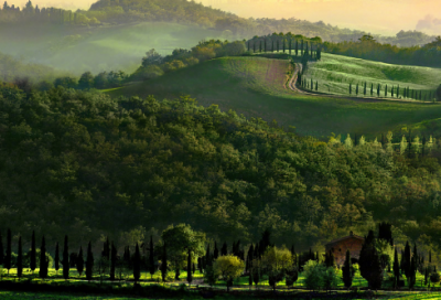 ​爱情迷茫的句子说说心情 【100句精选】