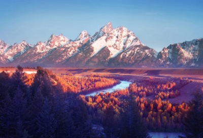 ​早安爱情语录 【早安爱情句子】