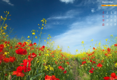 ​朋友圈说爱情短语的句子 【100句精选】