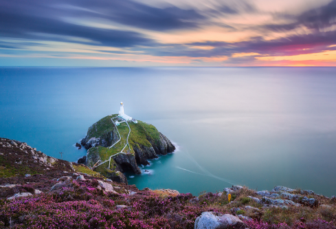 1691159025807676.png image.png