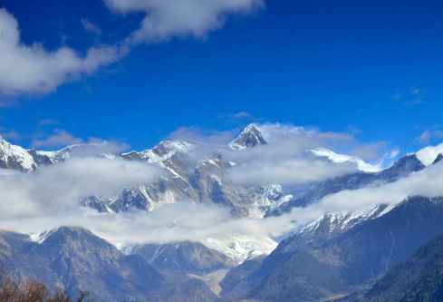 1691160851331420.png image.png