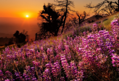 ​无奈的爱情伤感句子 【100句精选】