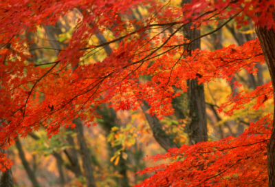 ​跟爱情有关的短句子 【100句精选】