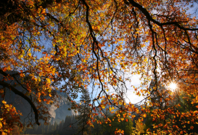 ​李银河爱情语录 【李银河爱情语录经典】