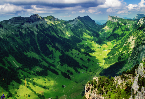 1691165012886562.png image.png