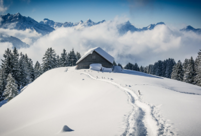 ​爱情表白语录 【经典爱情表白语录】