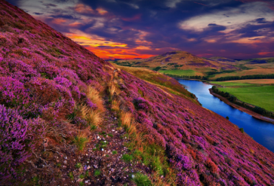 ​经典爱情电影语录 【经典爱情电影语录短句】