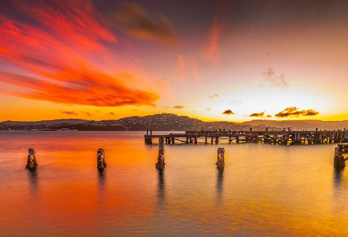 1691168331376131.png image.png