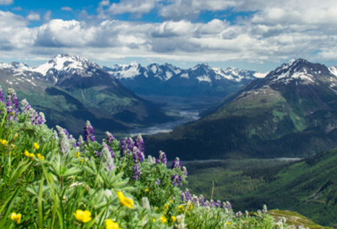 1691169824543289.png image.png