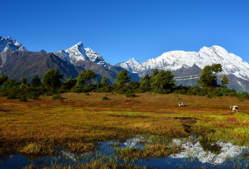 1691170985538722.png image.png