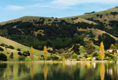 ​社会语录情感 【社会语录短句霸气爱情】