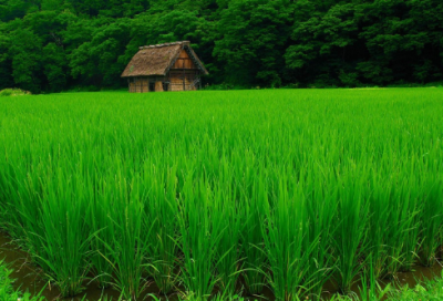 ​三字爱情短句 【100句精选】