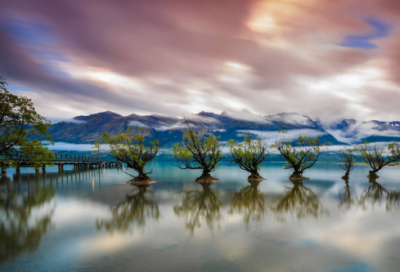 ​爱情宣言短句 【100句精选】