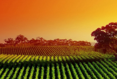 ​异地恋感人的句子爱情短句 【100句精选】