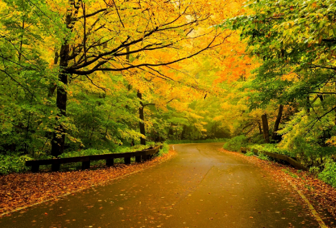 1691172811930291.png image.png