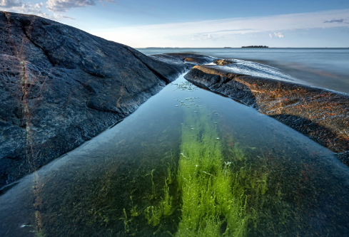 1691173640608446.png image.png