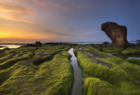 1691211366741082.png image.png