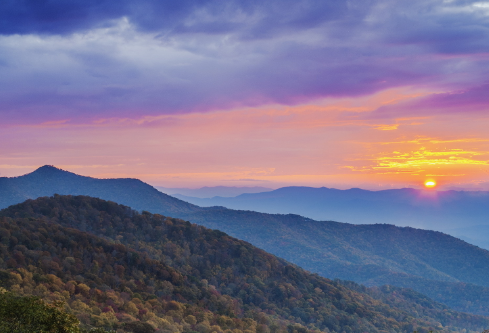 1691211863542104.png image.png