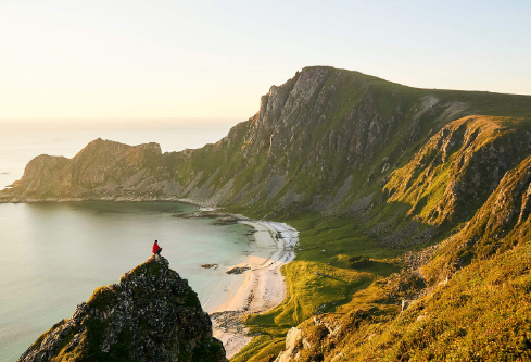 1691212029570737.png image.png