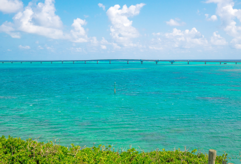 1691212207970506.png image.png