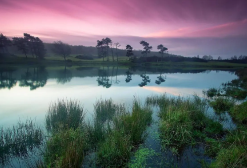 1691212705705778.png image.png