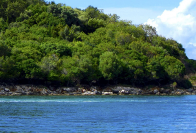 ​浪淘沙古诗带拼音（浪淘沙注释及翻译）