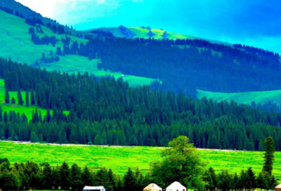 ​关于清明的古诗大全（纪念清明节的古诗）