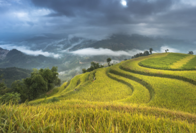 ​关于长江的古诗（经典的长江诗词）