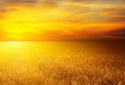 ​所见古诗的意思翻译（袁枚所见赏析）