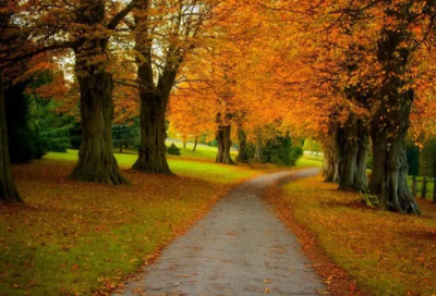 ​夏日绝句古诗带拼音（夏日绝句注音版带拼音）