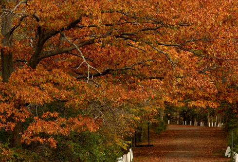 1691215525337736.png image.png