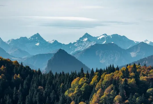 1691215691304704.png image.png