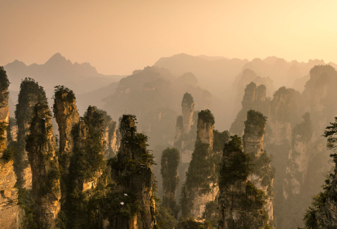 1691216354927287.png image.png