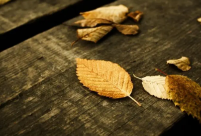 ​思念父亲的句子伤感 思念已故父亲的句子 伤感