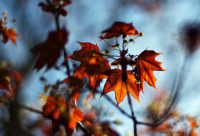 ​失去亲人撕心裂肺感言 阴阳相隔最伤感的句子