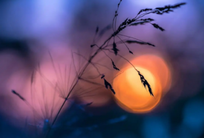 ​伤感句子句句心痛短句 伤感的句子说说心情