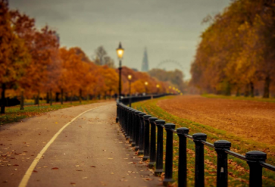 ​思念母亲的句子伤感简短 思念母亲一周年的简短句子