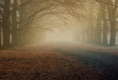 ​深夜感叹人生无奈的句子 深夜心酸伤感的句子